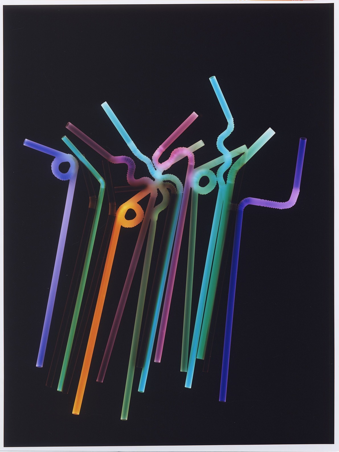 Sandra Vaka - Circulation