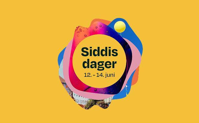 Siddisdager