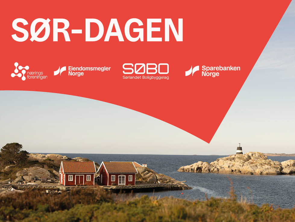 Sør-dagen