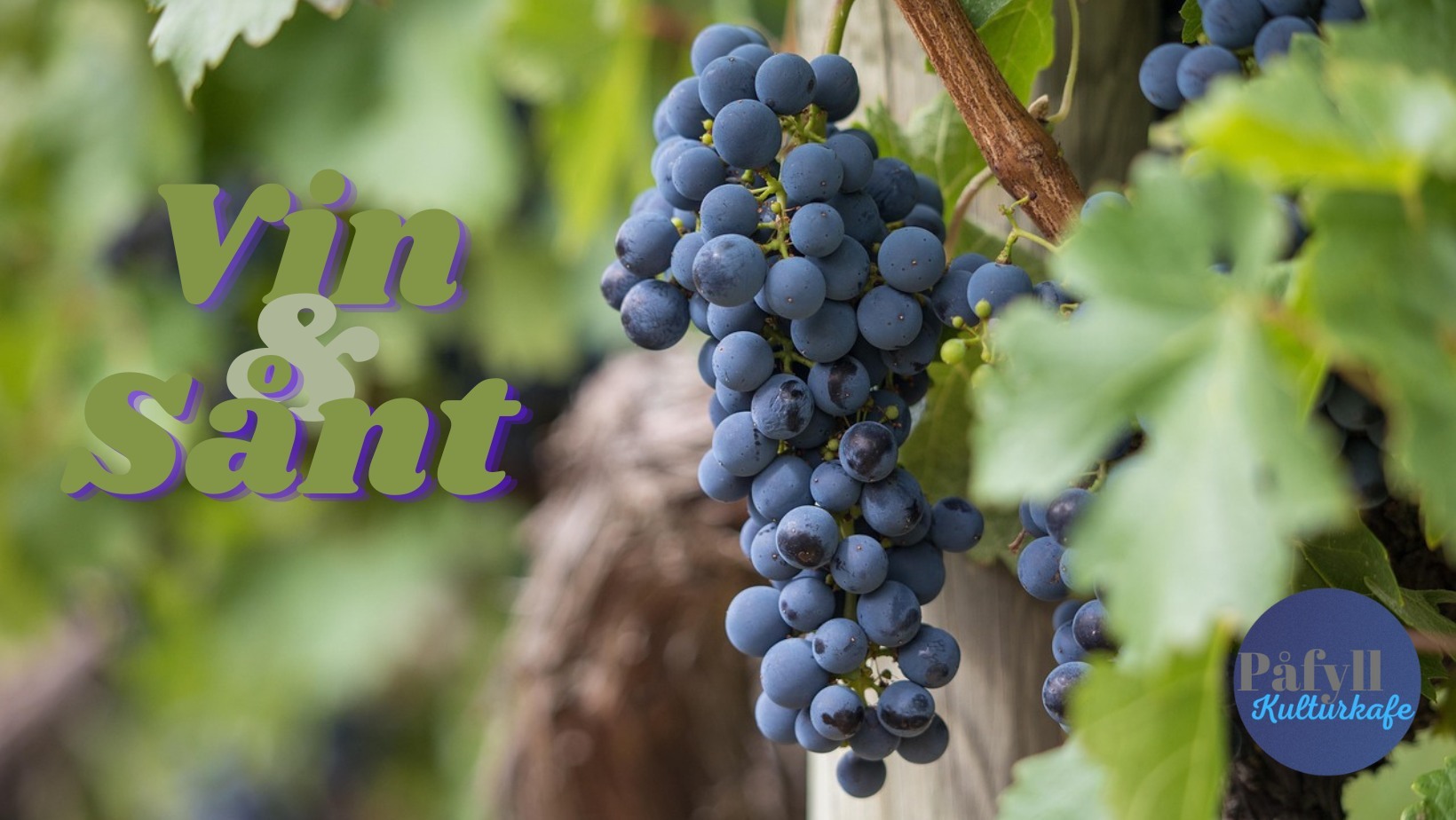 Vin & Sånt - Dette blir helt vilt!