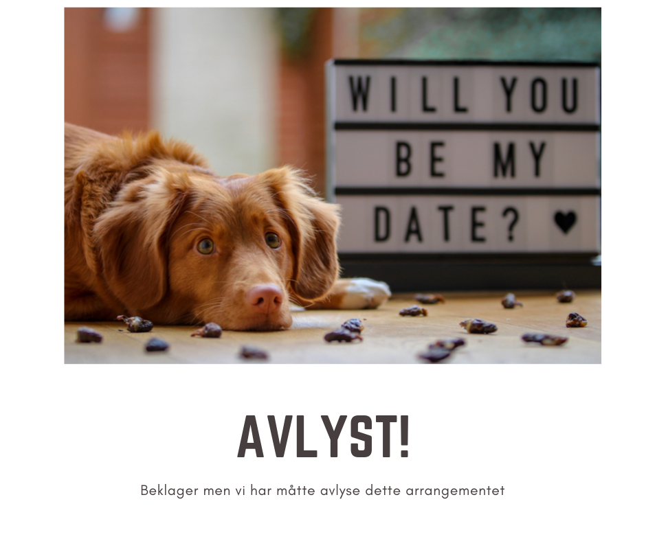 AVLYST Speed - Dating 