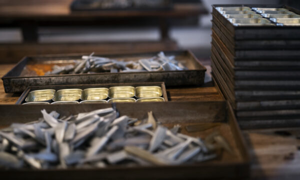 Søndag på Norsk hermetikkmuseum - En guidet tur