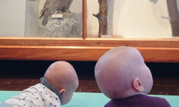 Babykafé - Kafé for de minste