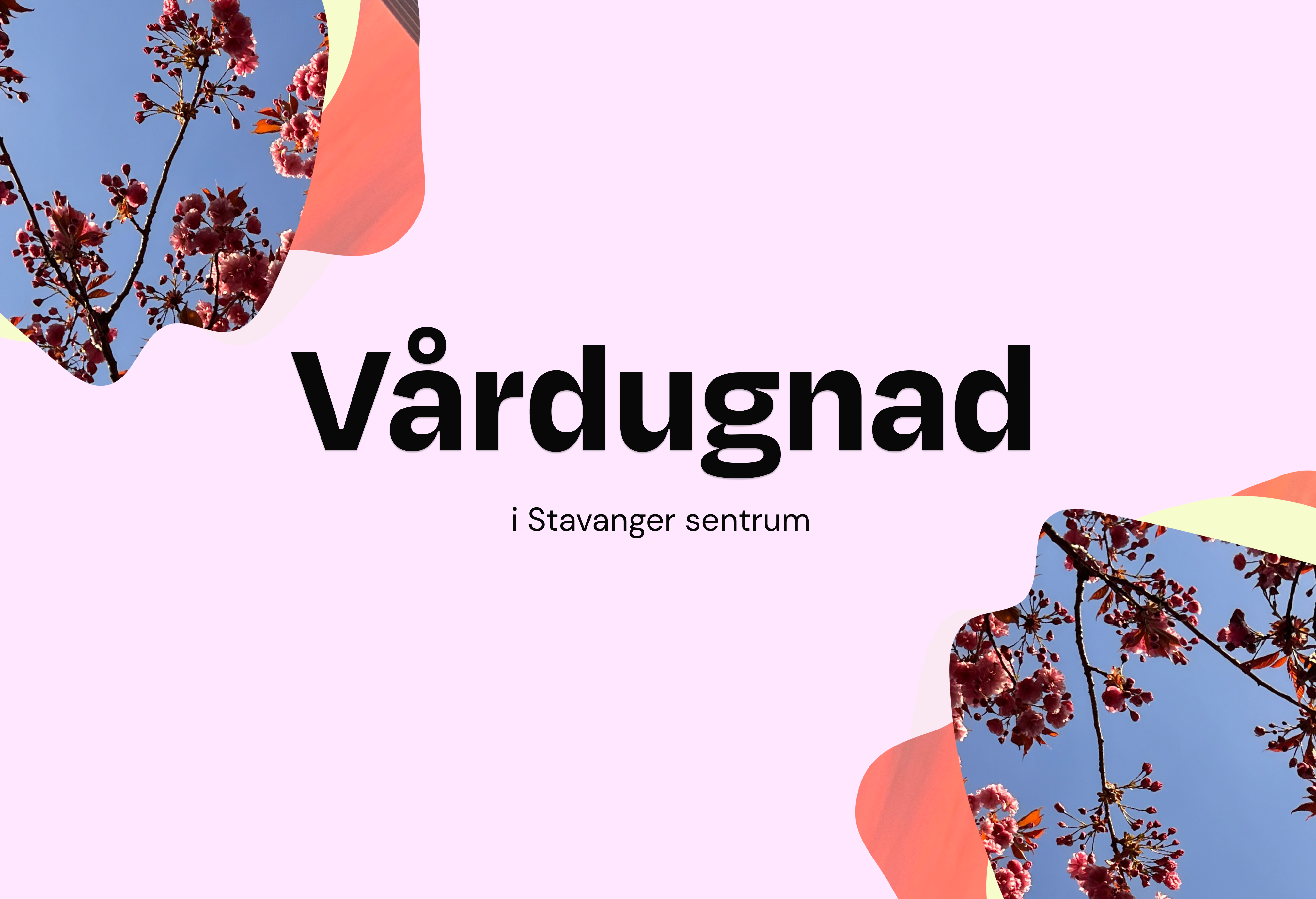 Vårdugnad 